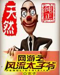 网游之风流骑士全文
