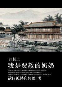 红楼我是贾赦的妈