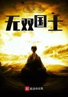 北宋之无双国士sodu