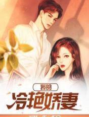 我的冷艳娇妻之女间谍