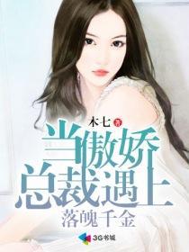 傲娇总裁千金女佣