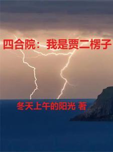 四合院里的楞头青TXT