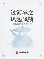 过河卒电视剧