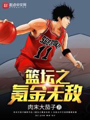 篮坛之氪金无敌txt