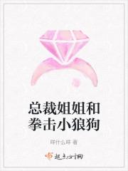 搜索总裁姐弟恋介绍