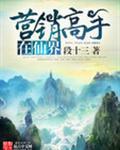 有哪些营销高手