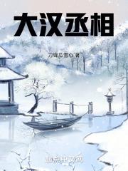 大汉丞相